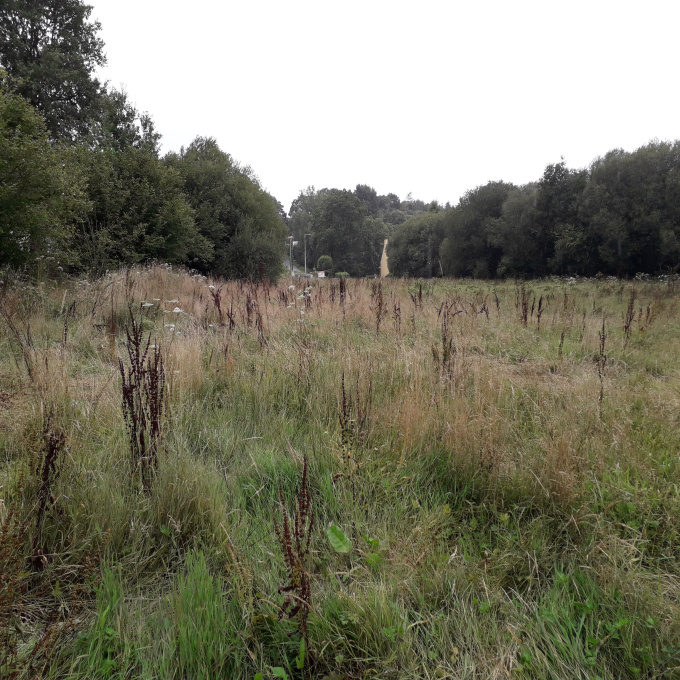Offres de vente Terrain Treffléan (56250)